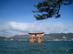 厳島神社に行ってきました。