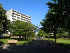 ふじみ野市福岡中央公園付近の風景