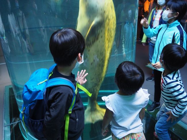 3世代で Goto 北海道 1日目 旅立ち 旭山動物園 旭川 北海道 の旅行記 ブログ By Beanbagさん フォートラベル 3世代で Goto 北海道 1日目 旅立ち 旭山動物園 旭川 北海道 の旅行記 ブログ By Beanbagさん フォートラベル