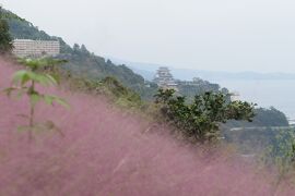 秋の熱海旅行♪　Vol.21 ☆アカオハーブ＆ローズガーデン：美しい初秋の花風景♪