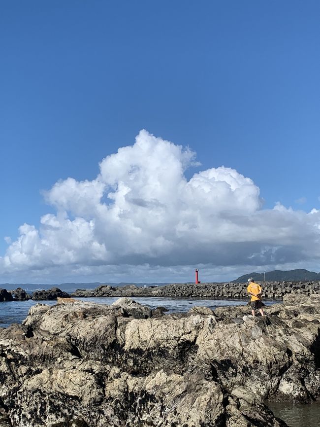 房総半島旅行<br />2020年の夏は房総半島を楽しみました。<br />近くなので、日帰りでもいきますが、go to キャンペーンを利用して、温泉と美味しい房総のお魚を堪能してきました。