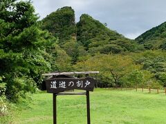 朱鷺に逢えました！佐渡