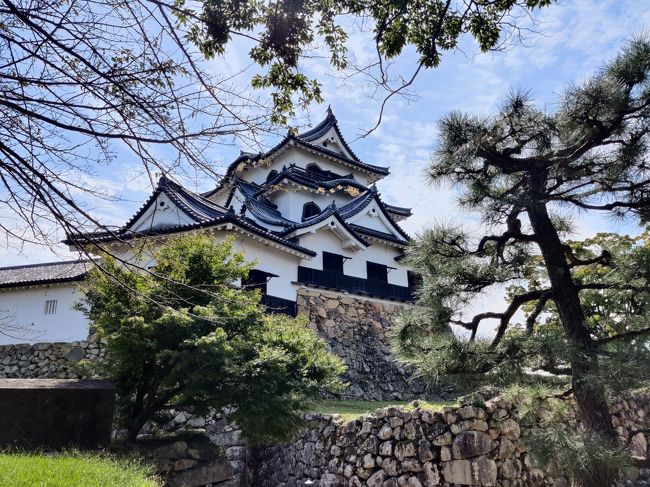 9月のシルバーウイークに滋賀県にある比叡山延暦寺と彦根城、ラコリーナ近江八幡を巡って来ました。この旅行記は彦根城とラコリーナ近江八幡編となります。まず旅行の目的として彦根城登城とマスコットのひこにゃんに会うことラコリーナ近江八幡ではその特徴的なデザインの建物見学と有名なバウムクーヘンをカフェで頂くことです。このうちバウムクーヘンをカフェで頂くことは入店の順番待ちが長くなりそうであきらめました。<br />ホテルは滋賀県内で良いところが無く交通の便を考えて京都駅前のイビススタイルズ京都ステーションに2泊しました。最終の1泊は二条城の見学もあり近くのANAクラウンプラザホテル京都に移動しました。<br />旅行期間は天候にも恵まれ気持ちよく各地を巡ることが出来ました。<br /><br />9月20日～22日　イビススタイルズ京都ステーション<br />9月22日～23日　ANAクラウンプラザホテル京都