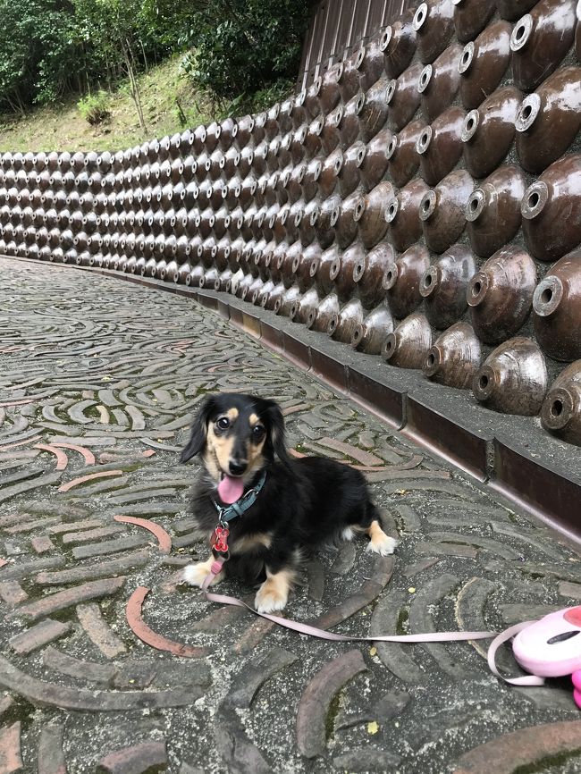 常滑焼きまつり。犬と焼き物散歩道を散歩と、イオンモール会場へ。