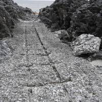 早春の大東島へ（1）北大東島でトロッコの廃線跡を見つけ、寿司を見てミルクボーイ風漫才を思い付く