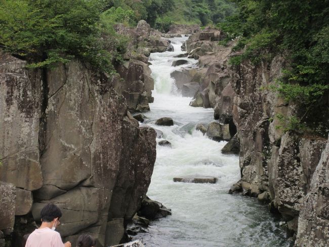 ＧＯＴＯトラベルキャンペーンを利用して東北へ。<br />東北へは、４年ほど前にメイン処を巡っていますが、第二弾として。<br />６０歳手前の亭主と相棒のいつもの夫婦2人旅です。<br />温泉と東北のひなびた名所を目指して。<br />久しぶりのロングランです。<br /><br />１日目<br />　愛知を午後発　→中央道→長野道→北陸道　（米山ＰＡで車中泊）<br /><br />２日目<br />　米山ＰＡ→出羽三山→最上川→銀山温泉→鳴子温泉（ホテル亀屋泊）<br /><br />３日目<br />　鳴子温泉→厳美渓→猊鼻渓→えさし藤原の郷→鉛温泉　（藤三旅館泊）<br /><br />４日目<br />　鉛温泉→遠野→浄土ヶ浜→三陸海岸　（グリーンピア三陸宮古泊）<br /><br />５日目<br />　三陸海岸→北山崎→鵜ノ巣断崖→龍泉洞→花巻温泉郷　（大沢温泉泊）<br /><br />６日目<br />　花巻温泉郷→蔵王お釜→飯坂温泉　（ホテル翠月泊）<br /><br />７日目<br />　飯坂温泉→東北道→園央道→新東名→愛知