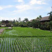 2019年末バリ島・台北旅行記①台北経由でバリ島へ～ウブド観光