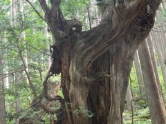 美濃のお山　蕪山