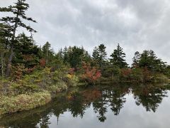 2020年10月　志賀高原　紅葉を求めて