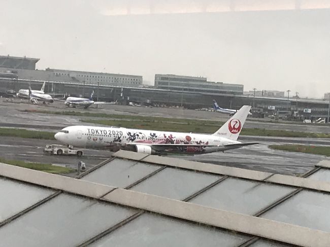 息子を送りがてら空港探検。飛行機見るのは、1月以来です。