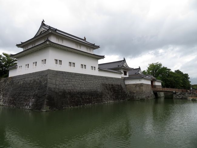 元々長崎に旅行を予定をしていたのですが、九州に接近した台風17号の影響で、欠航に。乗りたかった飛行機も巡ってきている運用であったため、長崎便の後に入る予定だった、茨城便へ予約変更して、当日に行先決定。 1日目は東京国立博物館、2日目は相模線・御殿場線に乗って、静岡・掛川へ。<br /><br />2日目　静岡・掛川編