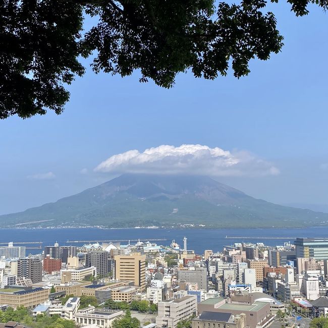 鹿児島出張になり、スケジュールをゆるくして、gotoトラベルと、各種クーポンを最大限活用して、観光とグルメも楽しんできました。