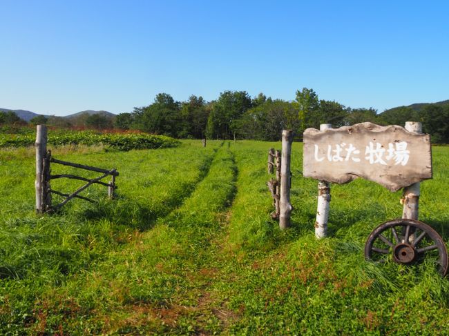 ９月２９日（火）<br />すっきりと晴れ渡った秋空の下、この日のテーマは、朝ドラ「なつぞら」ロケ地めぐりです。帯広にはまだ行ったことがありませんでした。<br /><br />〔旅程〕<br />9月28日（月）　自宅ー羽田空港ー旭川空港ー旭山動物園ーリゾナーレトマム（泊）<br />9月29日（火）　リゾナーレトマムー帯広ー新得町ーリゾナーレトマム（泊）<br />9月30日（水）　リゾナーレトマムー空知川ラフティングーリゾナーレトマム（泊）<br />10月1日（木）　リゾナーレトマムー新千歳空港ー羽田空港ー自宅