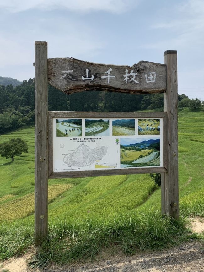 行ってみたかった亀岩の洞窟、大山千枚田に。久しぶりに、ローズマリー公園と日本寺にも立ち寄りました。<br />凄～く暑い夏旅行。マスクが辛かった!!<br />でも、家の中でテレワークしていたので、真夏の季節を感じられました。<br />テレワークで仕事しているので、都内への通勤も無くなり、運動不足での真夏の旅行体力の無さを感じた旅行でもありました‪( ;ᯅ; )‬