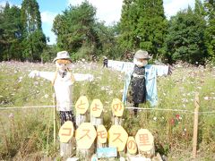 素朴な雰囲気でした『とよのコスモスの里』（大阪府豊能町）