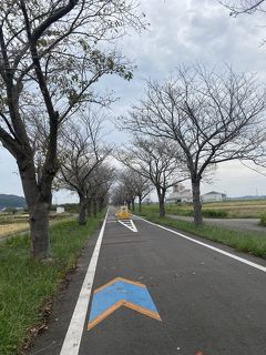 つくば霞ヶ浦りんりんロード～旧筑波鉄道コース