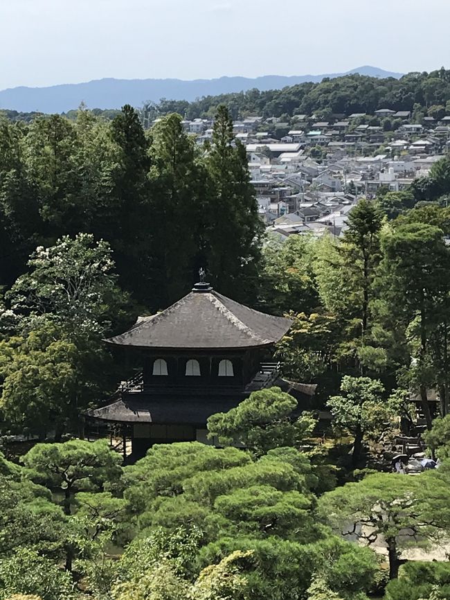 東京のGO TOの始まる前に、京都半日お散歩してきました。目的は数十年ぶりの銀閣寺と哲学の道です。あと「ローチェコレート」♪<br /> 足は往復ANA。京都へ行くとき毎回新幹線か飛行機か迷うのですが、往路、特典航空券が取れたので飛行機にしました。まさか、数週間前に日曜日で取れるなんて。ラッキー~~~。<br /> 短時間でしたが、お天気にも恵まれ、素敵な時間を過ごしました。