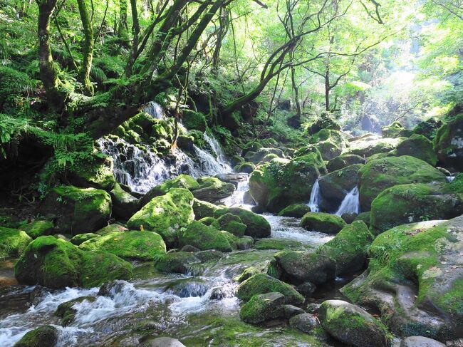 おいしいものを求めて・・・<br /><br />9/19 湯殿山、湯田川温泉<br />9/20 鳥海山、酒田<br />9/21 羽黒山、鶴岡<br />9/22 蔵王、山形