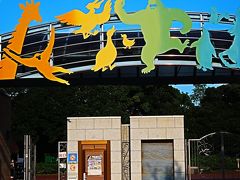 千葉市動物公園-1　レッサーパンダ「風太」が健在//子孫繁栄　☆小動物ゾーンは大人気