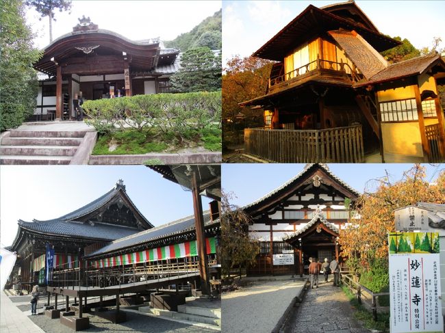 西本願寺　国宝「飛雲閣」お茶席参列と天才絵師たちの名画に迫る京都の旅<br /><br />冒頭の写真は<br />清水寺・成就院：中島潔襖絵展特別公開<br />東本願寺・渉成園（枳殻邸庭園）：園林堂で棟方志功の襖絵の特別公開<br />西本願寺・飛雲閣：伝灯奉告法要記念参拝式参列<br />妙蓮寺：長谷川等伯一派の襖絵特別公開<br /><br /><br />11/6(日) 品川駅⇒京都駅　清水寺・成就院、東本願寺・渉成園、アークホテル京都<br />11/7(月) 西本願寺・飛雲閣、宝蔵寺、妙蓮寺、金戒光明寺　京都駅⇒品川駅<br /><br />アークホテル京都（ルートインホテルズ：全国に展開するホテルチェーン）<br />阪急大宮駅、嵐電四条大宮駅より徒歩１分の都市型ホテル<br />客室数：160 室、全室加湿機能付空気清浄機＆Wi-Fi完備<br /><br />清水寺・成就院：中島潔襖絵展特別公開<br />清水寺の塔頭寺院で、通常非公開だが、春秋のみ特別公開される。<br />｢月の庭｣は、江戸時代初期の代表的な借景式庭園であり、国の名勝に指定されている<br /><br />東本願寺・渉成園（枳殻邸庭園）：園林堂で棟方志功の襖絵の特別公開  <br />渉成園は、東本願寺の飛地境内地であり、池泉回遊式の庭園です。<br />成園の敷地はほぼ正方形に近く、一辺が100間(約180ｍ)あったために「百間屋敷」とも、また外回りにカラタチ（枳殻）を植えていたために「枳殻邸（きこくてい）」ともいわれました。<br /><br />西本願寺・飛雲閣：伝灯奉告法要記念参拝式参列、非公開の飛雲閣にて慶讃茶席参列/白書院公開<br />金閣、銀閣と共に「京の三名閣」の一つに数えられる国宝建造物<br />飛雲閣は、西本願寺境内の東南隅にある滴翠園の池に建つ三層柿葺（こけらぶき）の楼閣建築です。<br />前面が滄浪池に面し、舟で出入りするように造られている。<br /><br />宝蔵寺：伊藤若冲の菩提寺、「竹に雄鶏図」、「髑髏図」特別公開<br />宝蔵寺は京都市中京区にある浄土宗西山深草派の寺院。本尊は阿弥陀如来。伊藤若冲ゆかりの寺院で、若冲及び伊藤家の菩提寺です。<br /><br />妙蓮寺：長谷川等伯一派の襖絵特別公開<br />日蓮の孫弟子日像が開基<br />収蔵庫に長谷川等伯一派の筆になる障壁画、松尾社一切経など多くの文化財を所蔵。観賞式石庭で「十六羅漢の石庭」と呼ばれる。奥書院の四間に現代絵画家幸野楳渓筆の「四季の襖絵」がある。<br /><br />金戒光明寺：御影堂・大方丈・庭園特別公開、伊藤若冲筆「雄鶏図押絵貼屏風」特別公開<br />法然上人が初めて草庵を結んだ地、「くろ谷さん」の名で親しまれる浄土宗大本山<br />新選組誕生の地。特別拝観中に大方丈では「謁見の間」「虎の間」「松の間」の拝観と回廊式庭園「紫雲の庭」、平成24年に作られた庭「ご縁の道」が散策できる。<br />御影堂では、伝運慶作の文殊菩薩像や吉備観音像（重文）も拝観できる。