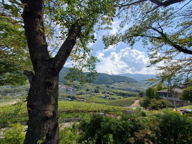 そろそろ旅に行きたい!<br />美味しいものも食べたい!<br /><br />を満喫する旅に行ってきました♪