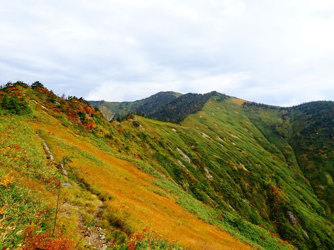 福島県の会津駒ヶ岳に登ってきました。予報に反して山頂付近は生憎のガスでしたが、その後の稜線歩きでは紅葉などを楽しめました。<br />下山後は山麓の檜枝岐村を散策し、鬼怒川温泉に泊って、ローカル線を乗り継いで足尾銅山などに立ち寄って帰りました。<br /><br />＜旅程＞<br />【1日目(10/3土)】<br />　竹橋22:30→会津駒登山口4:45（毎日あるぺん号）<br />　道の駅尾瀬檜枝岐4:28-4:56滝沢登山口-6:30駒の小屋-6:41会津駒ヶ岳6:43-7:13中門岳7:50-8:20会津駒ヶ岳-8:32駒の小屋8:38-9:40大津岐峠9:42-10:56キリンテ登山口（徒歩）<br />　森の温泉館アルザ前15:14→会津高原尾瀬口駅前16:30（会津バス）<br />　会津高原尾瀬口17:02→鬼怒川温泉17:51（野岩鉄道＋東武鬼怒川線）<br />【2日目(10/4日)】<br />　鬼怒川温泉7:58→8:20下今市8:25→東武日光8:33（東武鬼怒川線＋日光線）<br />　鉢石町9:38→銅山観光前10:28（日光市営バス）<br />　通洞11:41→大間々12:54（わたらせ渓谷鐡道）<br />　赤城13:28→中央前橋14:08（上毛電鉄）<br />　前橋14:35→14:50高崎15:02→15:53長野16:00→（JR両毛線＋北陸新幹線＋中央本線）