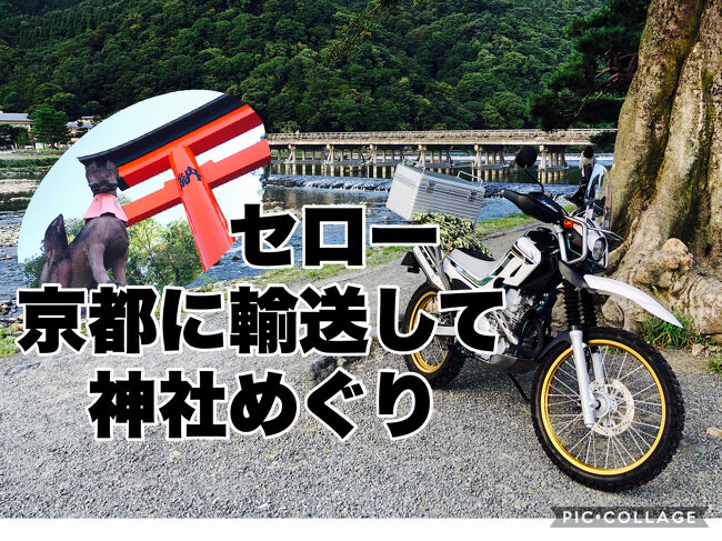 https://youtu.be/qnVNBaU91Z8<br /><br />YouTubeにUPしました。<br /><br />コロナ禍で、外国人観光客のいない京都観光は、チャンスと思いました。<br />でも密は避けたいし。なら、バイクを輸送して京都の神社をセローで廻ろう!<br /><br />9/2 バイク輸送BASさんがピックアップ。<br /><br />9/19~22<br />私と主人は新幹線、のぞみ始発で京都へ。京都デポでバイクをピックアップして、神社めぐり4日間。普段足がないといけない場所や、朝一の嵐山 竹林など感動の4日間でした。<br /><br />宿泊は アマン京都に3泊宿泊です。