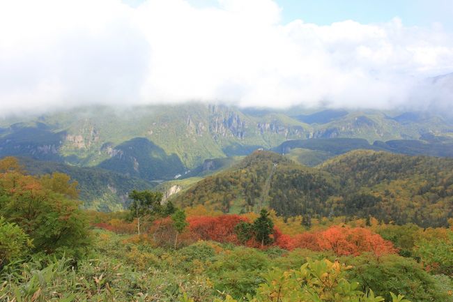 その８は、層雲峡温泉から黒岳ロープウエーで紅葉巡り<br />その後札幌へ向かいました。<br /><br />台風の影響で、帰りのフェリーが欠航となり、１日後の苫小牧発フェリーへ変更されました。<br />表紙は黒岳からの風景です。<br />紅葉も一部という感じでした。<br /><br />今回の旅程です。<br /><br />９月　９日（土）　新潟港　１１：４５発<br />９月１０日（日）　小樽港　午前４時半着　函館へ　湯の川温泉泊<br />９月１１日（月）　函館　墓参り　上の湯温泉泊<br />９月１２日（火）　登別温泉泊<br />９月１３日（水）　十勝川温泉泊<br />９月１４日（木）　タウシュベツ橋梁見学ツアー参加　芽登温泉泊<br />９月１５日（金）　層雲峡温泉泊<br />９月１６日（土）　夜　友人と会食　新さっぽろ泊<br />９月１７日（日）　昼　親戚と会食　別の親戚宅２泊<br />９月１９日（火）　１７時　苫小牧港発(小樽港の予定が変更）<br />９月２０日（水）　午前　９時　新潟港　着<br /><br /><br />