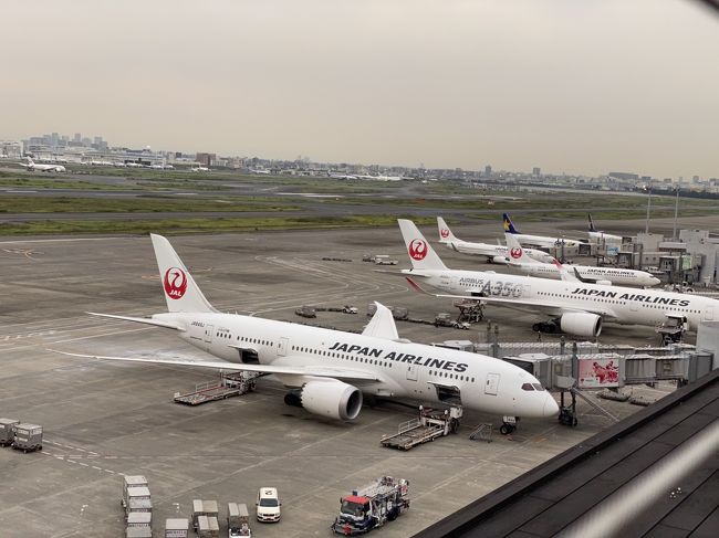 JGCの回数修行は現在44回。<br />当初予定では、徳島へ行くのに4回乗って、<br />この日で50回を達成予定でした。<br /><br />しかし、徳島行きは減便のため欠航になり、<br />この日の2回が完全に浮いてしまった(´・ω・`)<br /><br />小松 9:05-羽田10:10<br />羽田18:15-小松19:15<br /><br />本来なら羽田からさらに飛びたいところですが、<br />1フライト9,999円以下という縛りで<br />JGC修行しているので、<br />今日はこれ以上飛べない。<br /><br />というわけで、久しぶりに都内に入りましょう。<br />出張で行った2月14日以来、232日ぶりです。