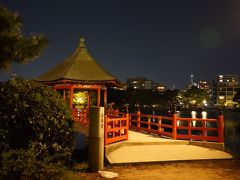 20201005-5 福岡 大濠公園、夜の部です