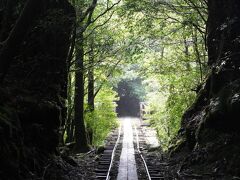 2020年9月旅　Go To 屋久島の旅（２日目縄文杉トレッキング～3日目屋久島ショッピング）