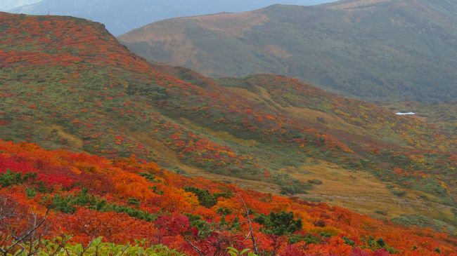 かねてから、いつか紅葉時期の栗駒山に登りたいと思っていました、先延ばしになってましたが、ＧＯ　ＴＯ　トラベルでお得に行けるし思い切って感染予防しながら行ってきました。<br /><br />今年の夏は猛暑が遅くまで続いたので１０月上旬じゃ紅葉には早いかなと心配でしたが、自然は裏切らす良い色づきでした。<br /><br />計画では盛岡市内観光してから、須川温泉の宿に夕方到着して、翌日栗駒山に登りイワカガミ平に下山するつもりでバックパッカー初体験。<br /><br />翌日は終日曇り予報、今日は晴れ予報だったので、急遽今日登ることにして正解。　紅葉の映える好天で楽しい登山が出来ました、下山時に転ぶというハプニングが有りましたが。。。<br />