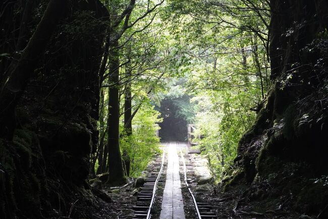 年9月旅 Go To 屋久島の旅 ２日目縄文杉トレッキング 3日目屋久島ショッピング 屋久島 鹿児島県 の旅行記 ブログ By Hore さん フォートラベル