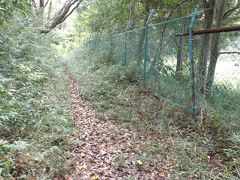 上永谷町境の山道