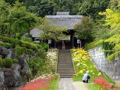 彼岸花の咲く寺（横浜西方寺）