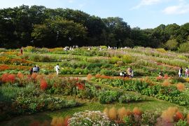 県立四季の森公園から里山ガーデンフェスタ　２０２０秋