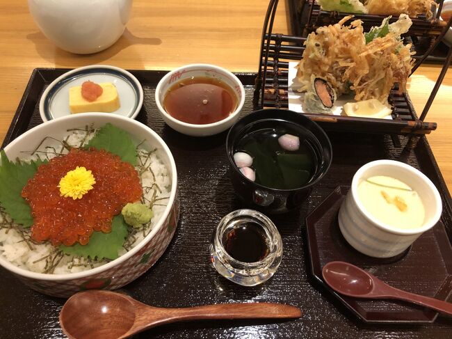 2020年10月4日(日)~6日(火)小倉から博多に向かい2泊します。先月は今まで経験したことのない超大型台風10号が来ると言うことで、JR、西鉄電車、西鉄バスは、前日または朝から運休。天神のデパートや天神地下街は全店臨時休業という、厳戒態勢。それでどこへも行けず、ホテル引きこもりを余儀なくされました。それで、出かけたい、食べたい、遊びたい病は押さえきれずリベンジ旅となりました。一人で、従姉と、買い物したり食事したり、お茶したり・・天神を満喫しました。その旅行記です。