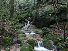 太古の森 屋久島３泊４日 ①白谷雲水峡と島の温泉　