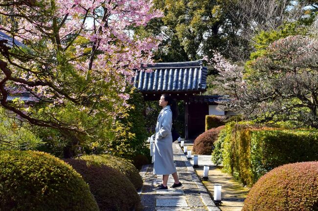 外国人観光客が消えた京都 - 後編