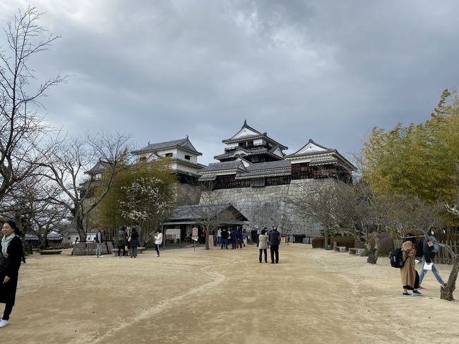 2019年の2月に82歳で亡くなった祖母は、75歳くらいまで息子(私にとっておじさん)の居る愛媛に毎年のように遊びに行っていました。<br /><br />祖母が愛媛で見てきた景色をどうしても私も見たくて決めた旅行です。<br />結局、あまり足跡を辿ることはできませんでしたが…<br /><br />同時期に、大好きな人が愛媛にライブをやりに行っていたのでそれも旅の目的の一つに入れて。<br /><br />3泊4日の少し短い旅の3日目15日後半と4日目16日の旅行記です。