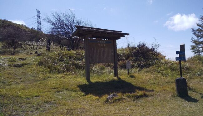 20-旧中山道 和田峠口～和田古峠～下諏訪宿近く(10/2 16.8km 33600歩 ）