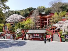 桜を見に九州へ今年最後の(？)泊まりの旅行2