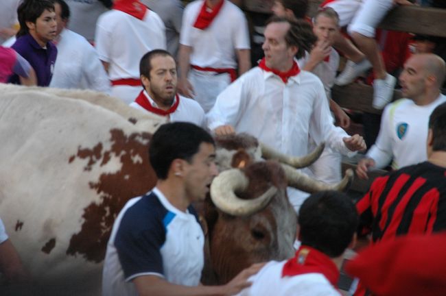 2008年 牛追い祭りとモンブラン登山-A（スペイン編）