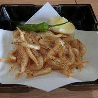 池田屋旅館に関する旅行記 ブログ フォートラベル 氷見 池田屋旅館に関する旅行記 ブログ フォートラベル 氷見