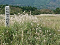 登山と高原と神社仏閣の旅≪1日目≫②仙石原すすき草原