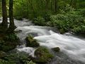 奥入瀬・十和田湖の旅行記