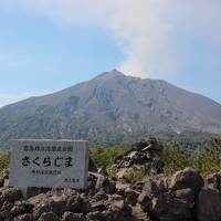 南国・宮崎と温泉天国・鹿児島を満喫する旅行　2019.4　Voｌ.4　仙厳園と桜島を満喫するよ！