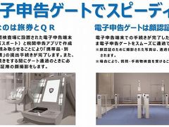 税関検査場電子申告ゲートを利用してみた