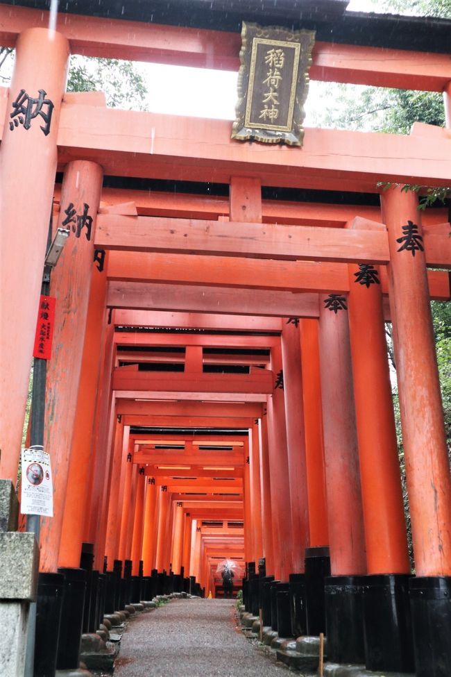 念願のひとり旅、今こそ決行する時！紅葉にはひと足早い京都へ充電の2泊3日