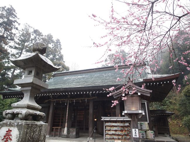 相模国六社巡り、平塚八幡宮から国道1号東海道を下って大磯に入ります。<br /><br /><br />